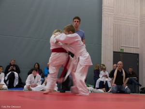 2013 03 05 - 034 Per Ottosson